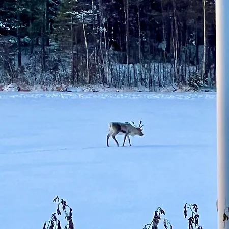 Appartement Lapland Arctic Kemijärvi