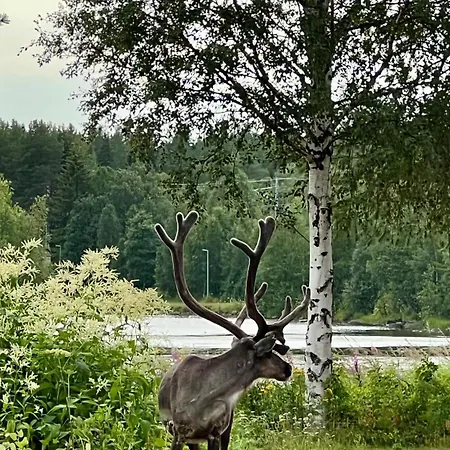 Appartement Lapland Arctic Kemijärvi