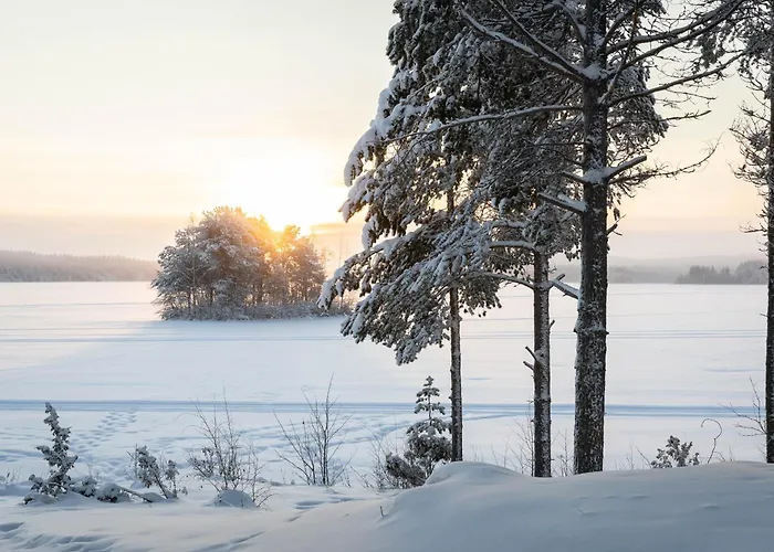 Lapland Arctic Апартаменты