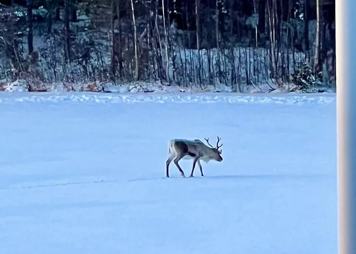 Apartament Lapland Arctic Kemijärvi