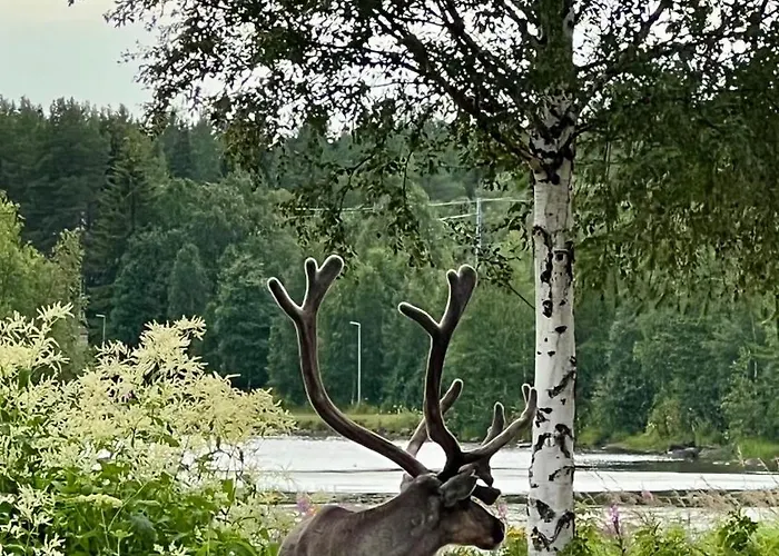 Apartament Lapland Arctic Kemijärvi