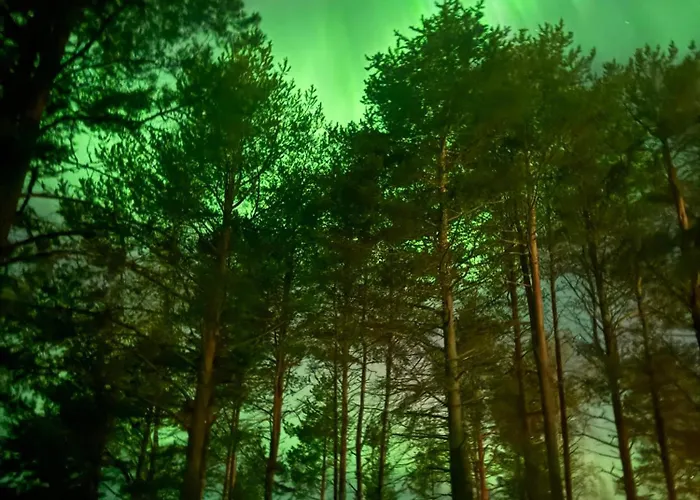 Lapland Arctic Апартаменты